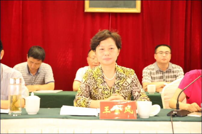民革安庆市大观区总支委员会正式成立