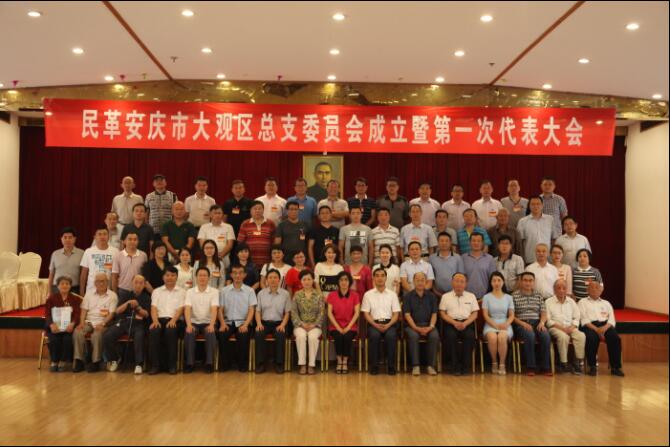 民革安庆市大观区总支委员会正式成立