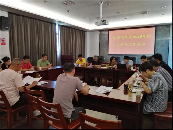 民革安庆市委召开专题会议部署专委会、理论课题组工作