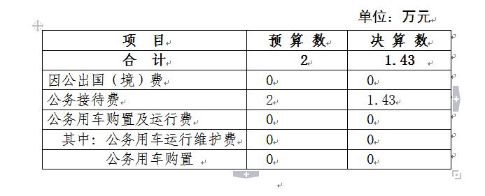 民革安庆市委会2018年一般公共预算财政拨款“三公”经费支出决算情况说明