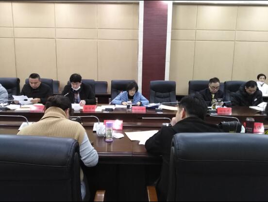 民革安庆市委召开2020年度专委会工作会议
