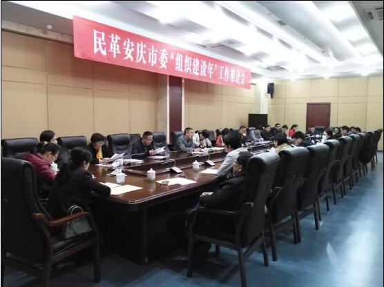 民革安庆市委召开“组织建设年”工作推进会