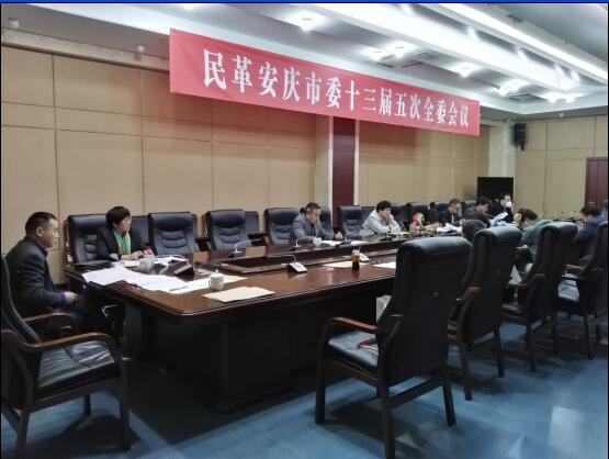 民革安庆市委召开十三届五次全委会议