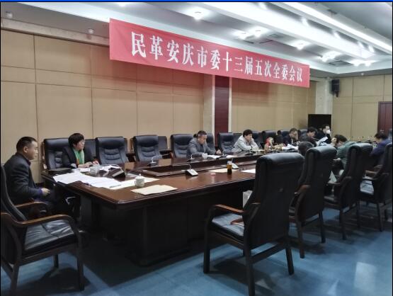 民革安庆市委召开十三届五次全委会议