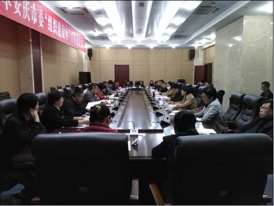民革安庆市委召开“组织建设年”工作推进会