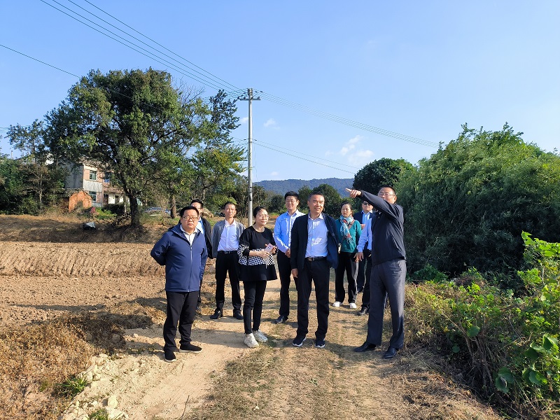 实地了解菜子湖生态环保问题整改情况.jpg