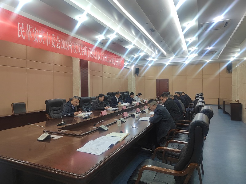 民革安庆市委会召开2024年度领导班子民主生活会
