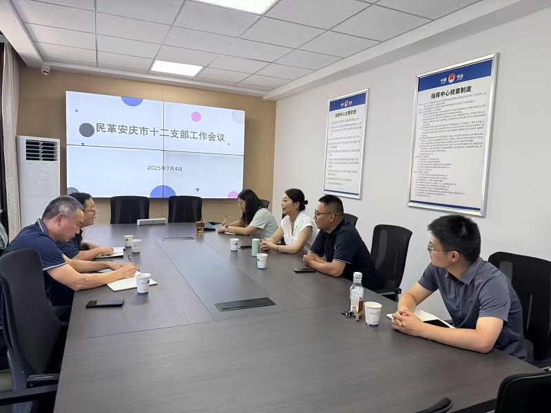 对十二支部主题教育活动开展督导.jpg