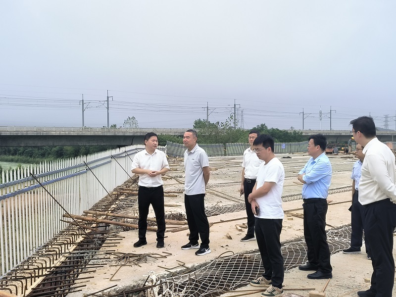 宜秀区龙城路农场圩段项目填占农场圩湖水域问题整改现场调研00.jpg