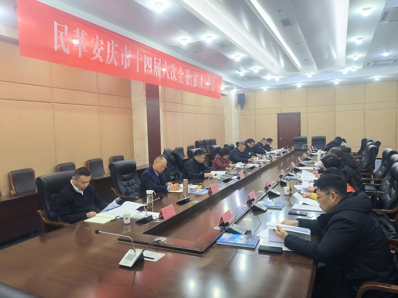 2.10民革安庆市委会召开十四届六次全委（扩大）会议00.jpg